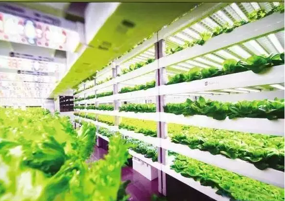 南京諾爾迅亮化，照明亮化工程